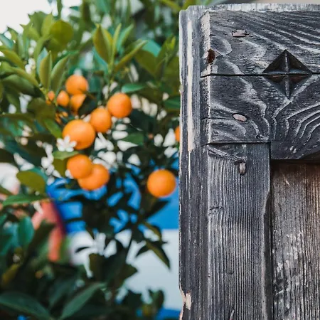 ホテル Art Riposo